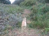 Plank bridge to second enclosure