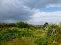 Blakeney View