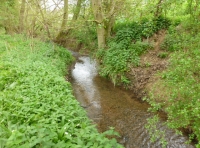 Boynton Wood - SOLD