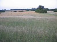Brewers Meadow - SOLD