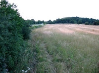 Brewers Meadow - SOLD photo 2