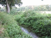 Brookside Wood and Meadow