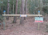Bush Wood - SOLD