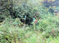 boundary stakes