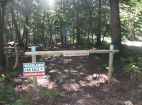 Corner Stone wood