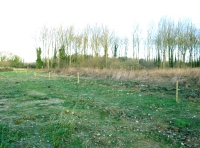 Cotman Meadow - SOLD