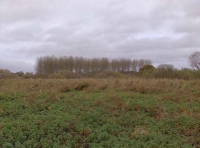 Cotman Meadow - SOLD photo 2