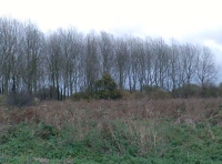 Cotman Meadow - SOLD photo 3