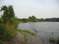 Cotman Meadow - SOLD photo 4