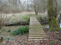 Cringle Wood