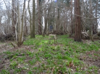 Cringle Wood - SOLD photo 4