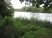 Crome Wood, Brundall