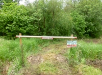 Small glade