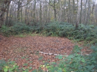 Old pond