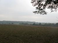 view to field