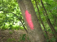 red boundary markings