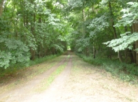 Eno Wood - SOLD