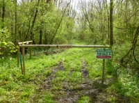 Fawkes Wood - SOLD