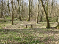 Ferrers Wood - SOLD photo 2
