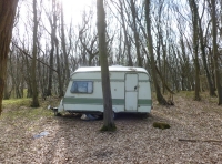 Ferrers Wood - SOLD photo 3