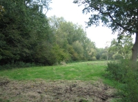 Firhill Wood and Meadow photo 3