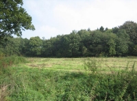 Firhill Wood and Meadow photo 4