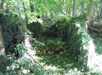 Firhill Wood and Meadow photo 5