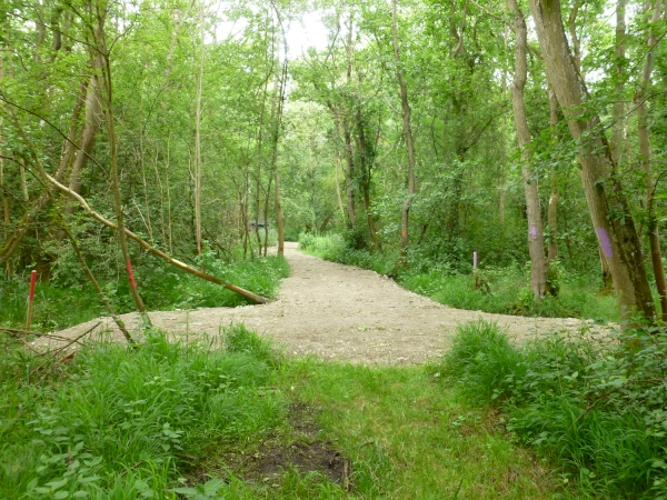 Fortress Wood