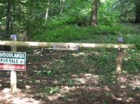 Freyas wood