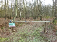 Gippeswic Wood