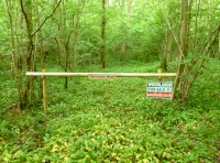 Boundary markings
