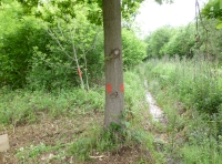Boundary marking