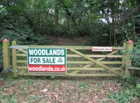 Kellingside Wood - SOLD