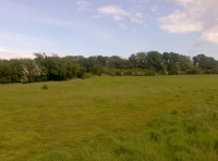 Keswick Hill Meadow - SOLD