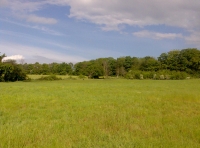 Keswick Hill Meadow photo 2
