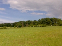 Keswick Hill Meadow photo 3