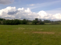 Keswick Hill Meadow photo 4