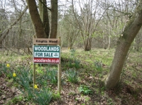 Knights Wood - SOLD