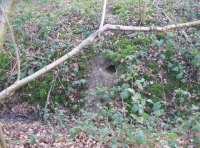 Old fox hole