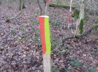 orange boundary stakes