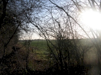 View to farmland