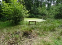 Logs Church Wood - SOLD