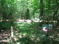 Maddys Wood