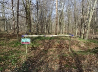 Maeldun Wood - SOLD