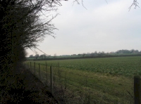 view to field