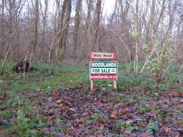Moat Wood - SOLD