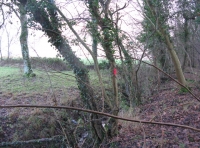 View to farmland