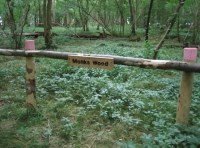 Monks Wood - SOLD