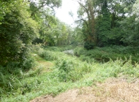 Muntjac Meadow - SOLD