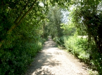track to meadow